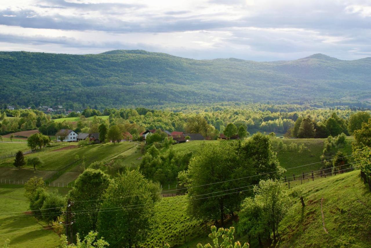 Frankovic Bed&Breakfast Vinica Buitenkant foto